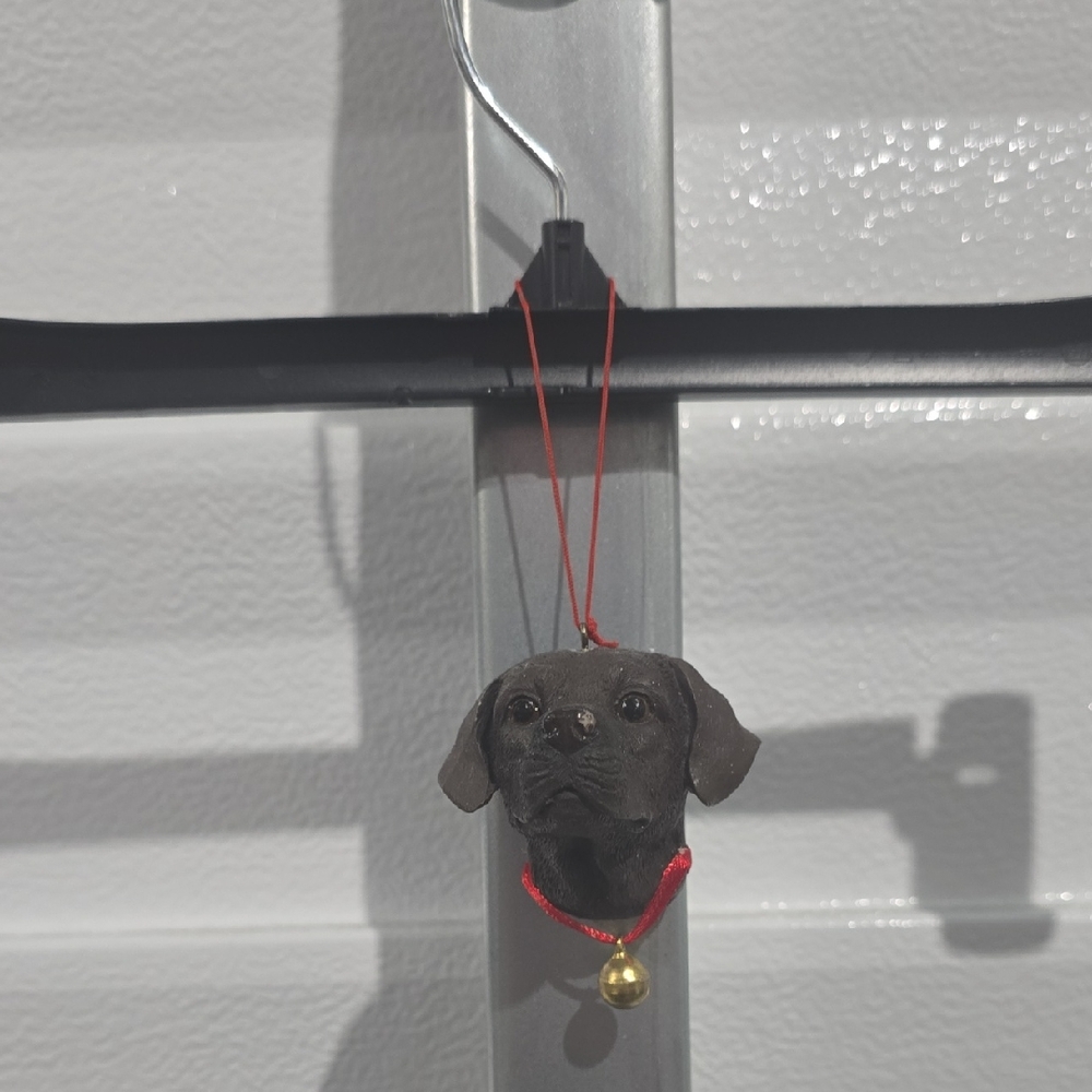Source Unknown Brown Dog Ornament with Red String